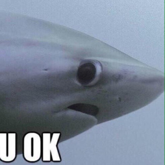 Profile Picture of Amanda Popolo (@apopolo) on Poshmark