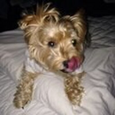 Profile Picture of Denise Fournier (@pinkflipflopzzz) on Twitter