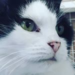 Profile Picture of Floyd Bulkley (@floydbulkley) on Instagram