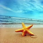 Profile Picture of Ovidio Moore Jordan (@ana.garibaldo.7) on Facebook