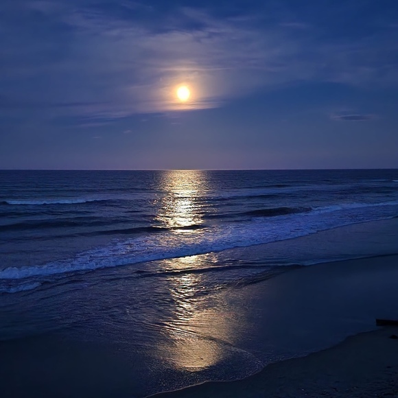 Profile Picture of Adrianne Kemper (@gemglowpuplove) on Poshmark