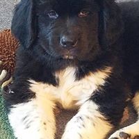 Profile Picture of Georgia Spencer-bates (@georgia-spencer-bates) on Quora