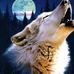 Profile Picture of Kyle Toler (@kyle.toler.581) on Facebook