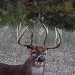 Profile Picture of David Hamenstafer (@indiana.eagles.9) on Flickr