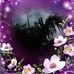 Profile Picture of Mary Cotner (@mary.cotner.50) on Facebook