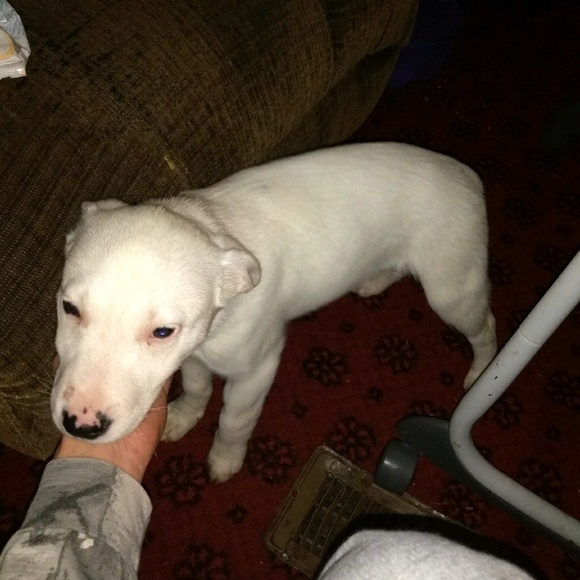 Profile Picture of Michael Baer (@michael1415) on Poshmark