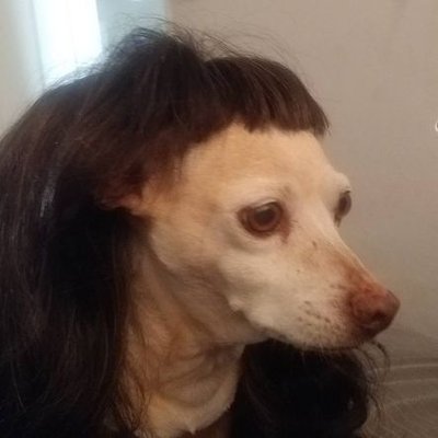 Profile Picture of Joe Warner (@joewarner) on Twitter