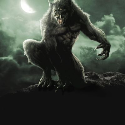 Profile Picture of Tom Berta (@TomBerta2) on Twitter