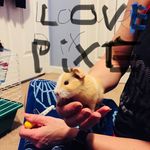 Profile Picture of Michael Carlos Hartling (@lifeeverday2018) on Instagram