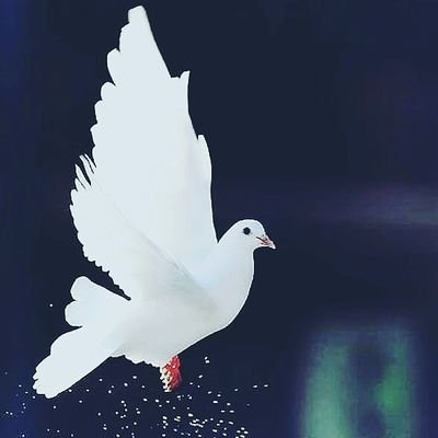 Profile Picture of Smiley Sandy (@SmileySandy8) on Twitter