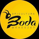 Profile Picture of Boda Méhészet (@bodameheszet) on Instagram