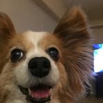 Profile Picture of Lorraine DeTurk (@lorraine.deturk) on Facebook