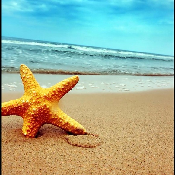 Profile Picture of Kimberly Hogge (@mastinave) on Poshmark