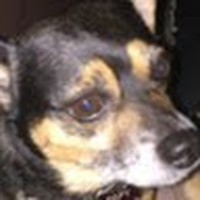 Profile Picture of Fabian Rodriguez-galvan (@fabian-rodriguez-galvan) on Quora