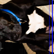 Profile Picture of Michael Early (@michaelearly3503) on Youtube