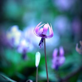 Profile Picture of Monali Patel (@patelmonali173) on Pinterest