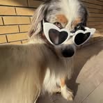 Profile Picture of Robert Jackie (@Robert-Jackie) on Facebook