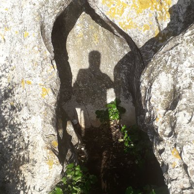 Profile Picture of Dan Sands 🇮🇪 (@LughLightning) on Twitter