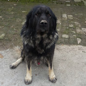 Profile Picture of Valentin Markov (@valentinmarkov2512) on Youtube