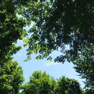 Profile Picture of Pamela Cisneros (@cisne_pam) on Twitter