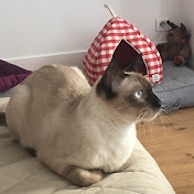 Profile Picture of Gabriel Yee-David (@gabrielyee-david794) on Youtube