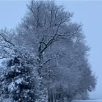 Profile Picture of Audrey Christophe Blondel (@audrey.blondel.35) on Facebook