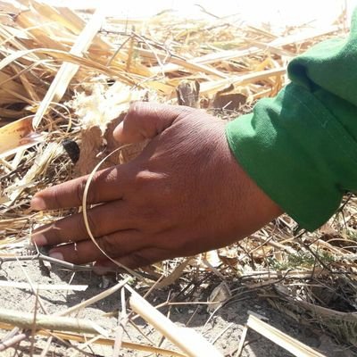 Profile Picture of Anton Encalada Nick Edincson (@AEdincson) on Twitter