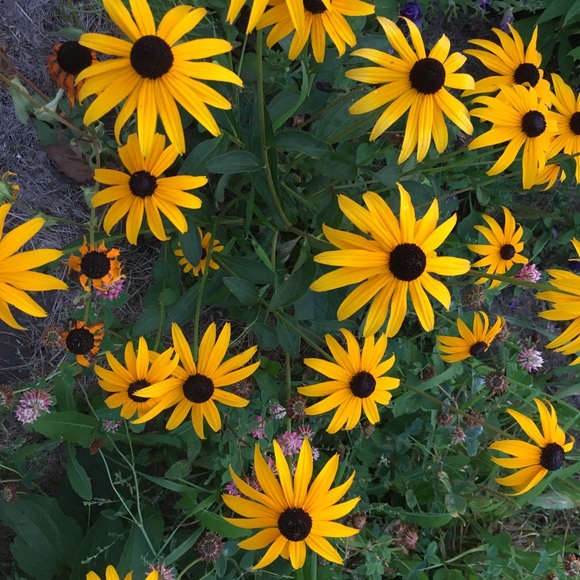 Profile Picture of Maggie Vandenlangenberg (@mvanden12) on Poshmark