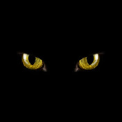 Profile Picture of Arquimedes E Abrego Baker (@arquimedeseabregobaker3826) on Youtube
