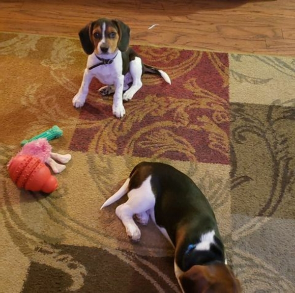 Profile Picture of Trisha Brienen (@t_brienen) on Poshmark