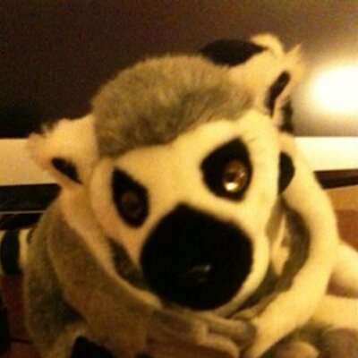 Profile Picture of Pongo Sapiens (@PongoSapiens) on Twitter
