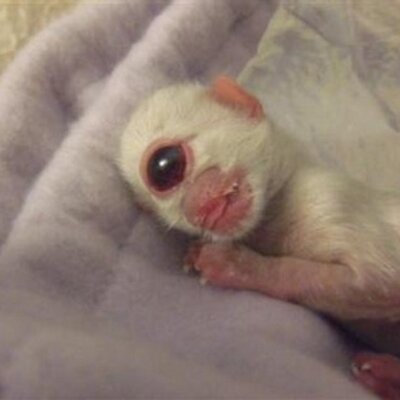 Profile Picture of Dustin Gomez (@mindfade) on Twitter