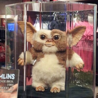Profile Picture of Robin Welsh (@RobinWelsh6) on Twitter