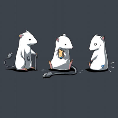 Profile Picture of Zac Stokdyk (@zstokdyk) on Twitter