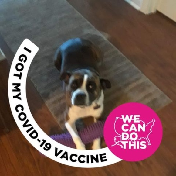 Profile Picture of Donna Burdsall (@donnaburdsall1) on Poshmark