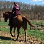 Profile Picture of Barbara Yoder (@barbara.yoder.311) on Instagram