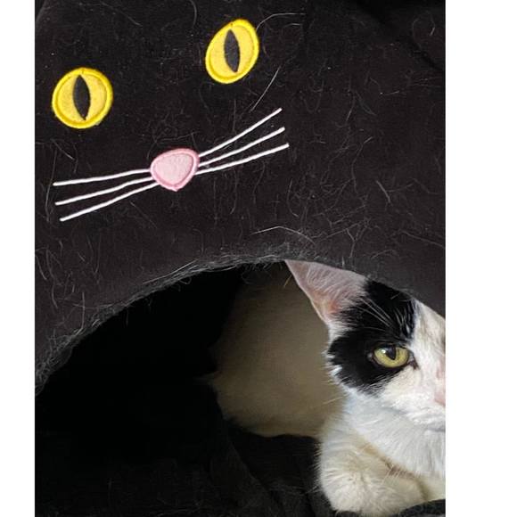 Profile Picture of Kathy Wallenberg (@kbwall57) on Poshmark