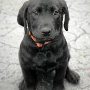 Profile Picture of Brandon Biedenbender (@102781685) on Myspace