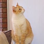 Profile Picture of Robyn Smalley (@smalley_robyn) on Instagram