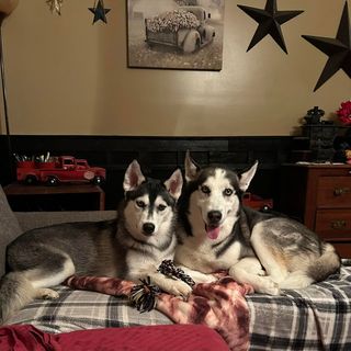 Profile Picture of Karen Rector Baker (@rectorkaren3130) on Instagram