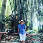 Profile Picture of Richard Paredes (@richardparedes7) on Instagram