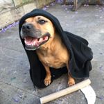 Profile Picture of Abso_Lutely (@jesse.a.sturgeon) on Instagram