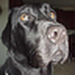 Profile Picture of Brian Mckenna (@fiqtir) on Flickr