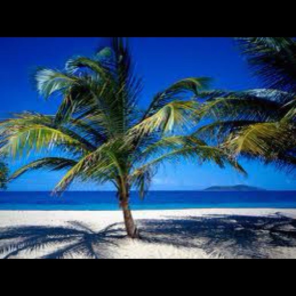 Profile Picture of Andrea Silveira (@andreaxx) on Poshmark