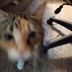 Chad Bowlin - Twitter Profile Picture of Chad Bowlin (@jcbowlin85) on Twitter