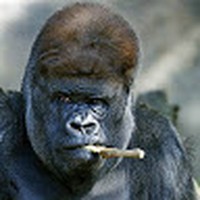 Profile Picture of Paul Greenleaf (@paul-greenleaf-5) on Quora