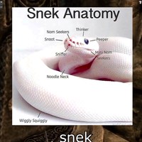 Profile Picture of Tina Callaghan (@tina-callaghan-6) on Quora