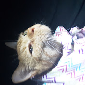 Profile Picture of Kristen Lambert (@odinlambert7777) on Youtube