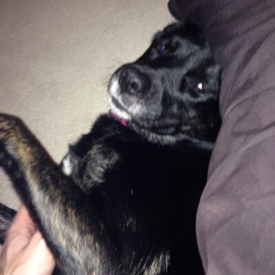 Profile Picture of Paul Griffiths (@paul_griffo9025) on Twitter