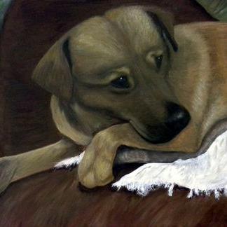 Profile Picture of Ian Metcalfe (@imartcreations) on Twitter